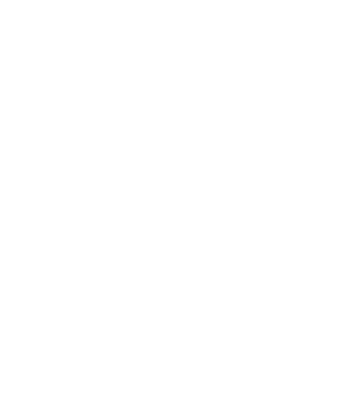 Southern Bliss Grill Logo